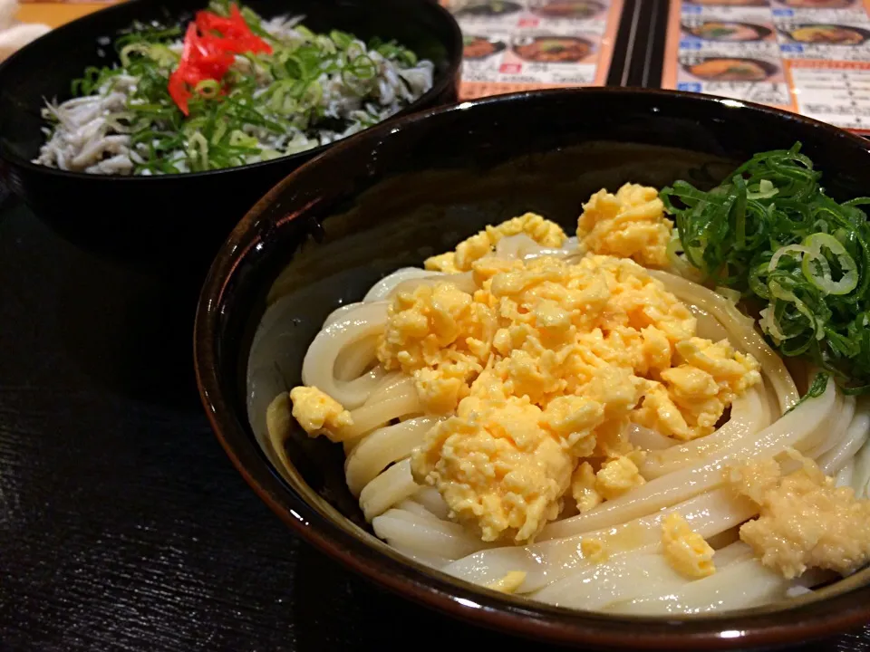 ひやたまと釜揚げしらす丼|hirotomoさん