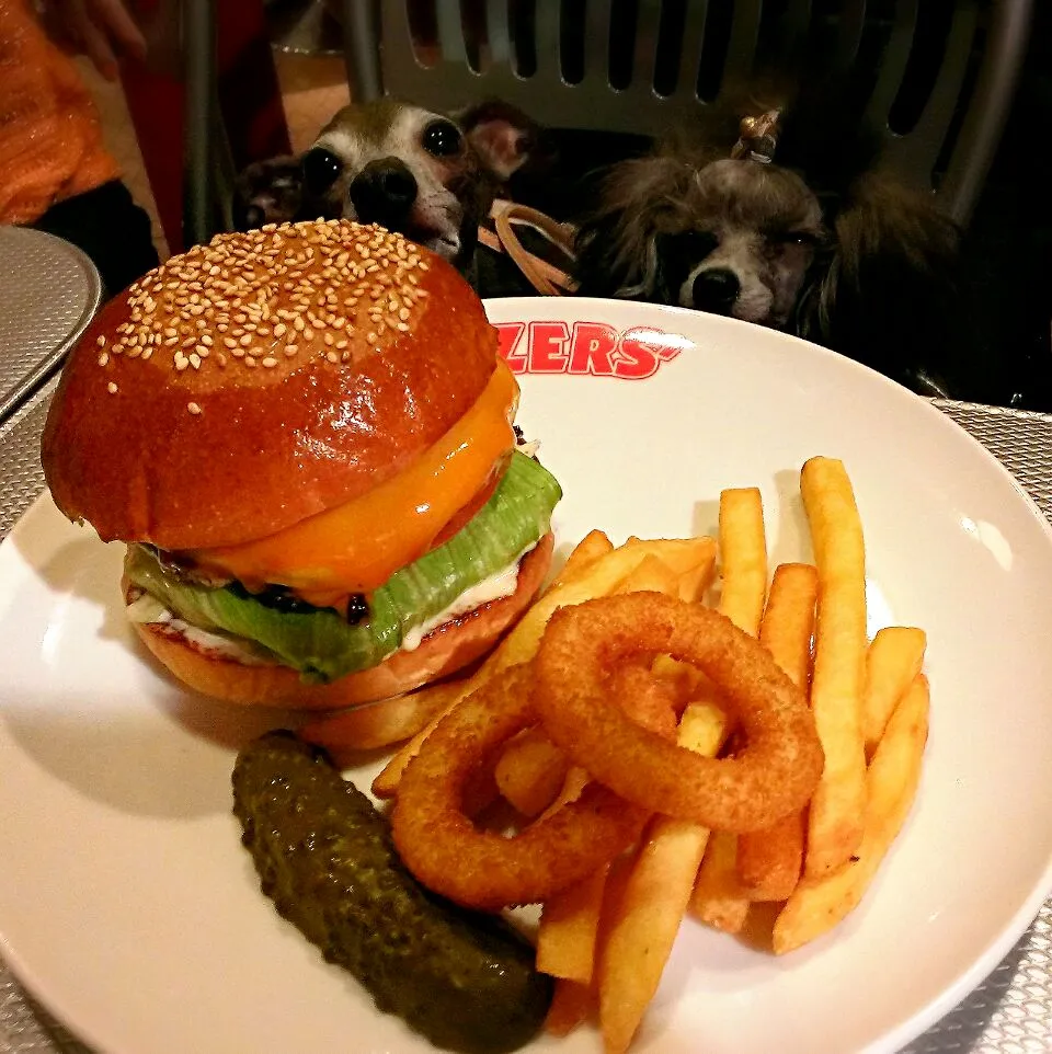 Snapdishの料理写真:レッドホットチリチーズバーガー|ふぃるまめんとさん