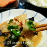 Snapdishの料理写真:茄子と豚肉の甘味噌ピリ辛炒め|ケンタロウ4949さん