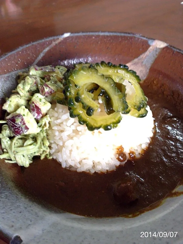 Snapdishの料理写真:薬膳カレー(*^^*)|Noryさん