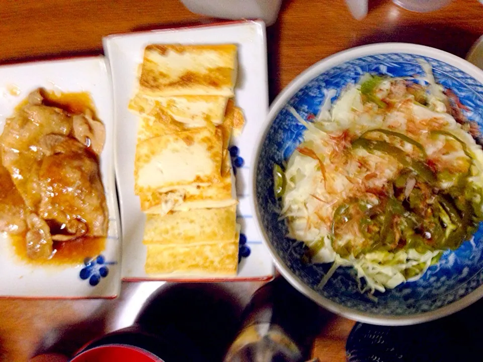 生姜焼き・豆腐ステーキ・蒸し野菜|Tarou  Masayukiさん