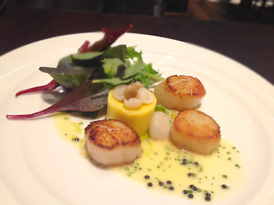 seared scallops|Cloudy Gさん