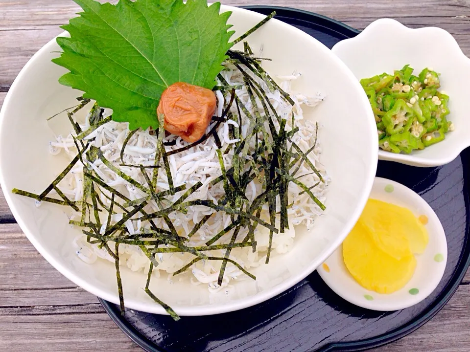 しらす丼😚特盛り〜🎵まいうー😆|きのすけ〜さん