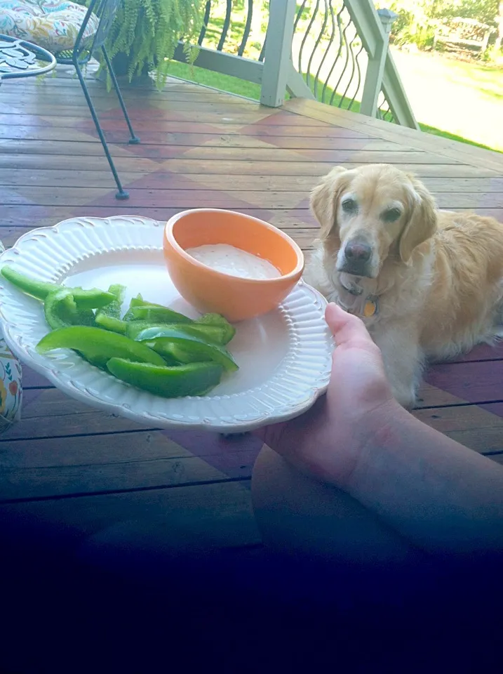 Home grown green bell peppers and a cute puppy!|K Goodnessさん