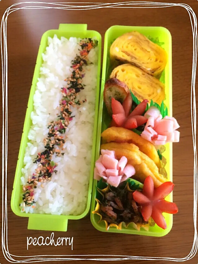 旦那様用☆お弁当😊１日目|☆ぴ〜ちゃん☆さん