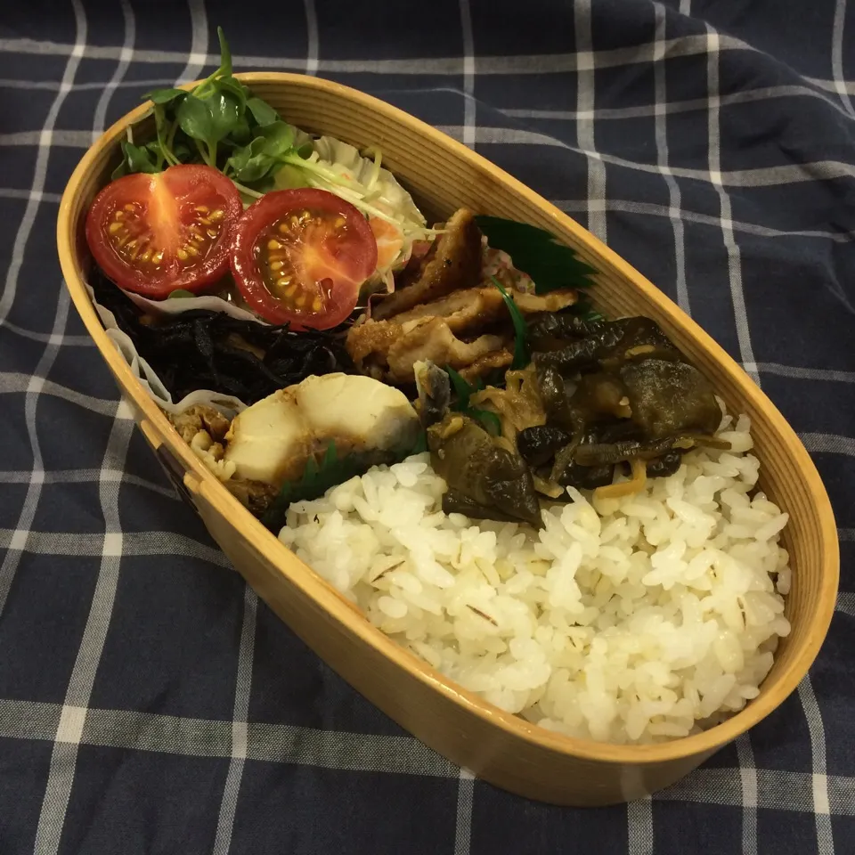 弁当（豚肉生姜焼き、サバ塩焼き、ひじき、サラダ、胡瓜佃煮）|SasaMasa213さん