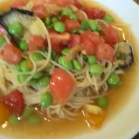 Snapdishの料理写真:枝豆とトマトとなすの冷製パスタ|でんこさん