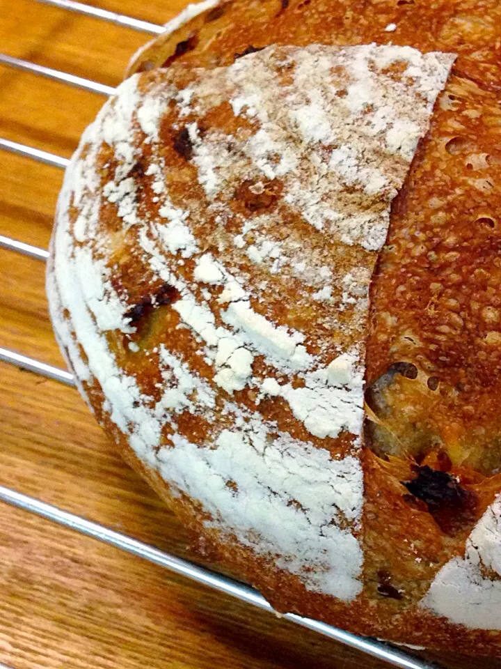 Snapdishの料理写真:Sho-ko❤さんの料理 Today Morning Bread is ノンオイル全粒粉のプチパン
～胡桃とドライフルーツ入り|nononkoさん