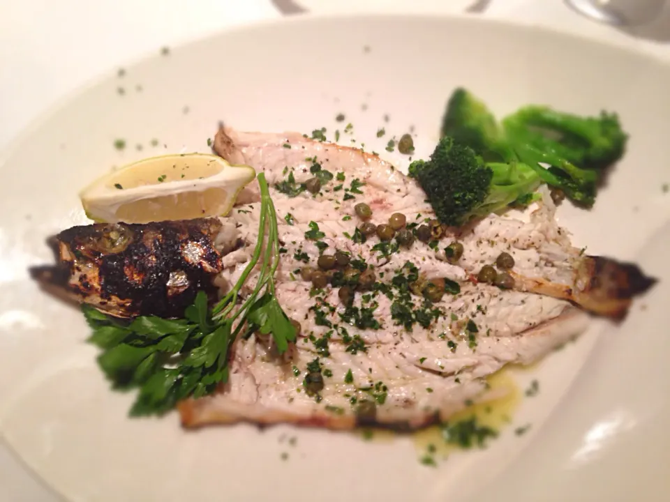 Greek Sea Bass|robert flickerさん