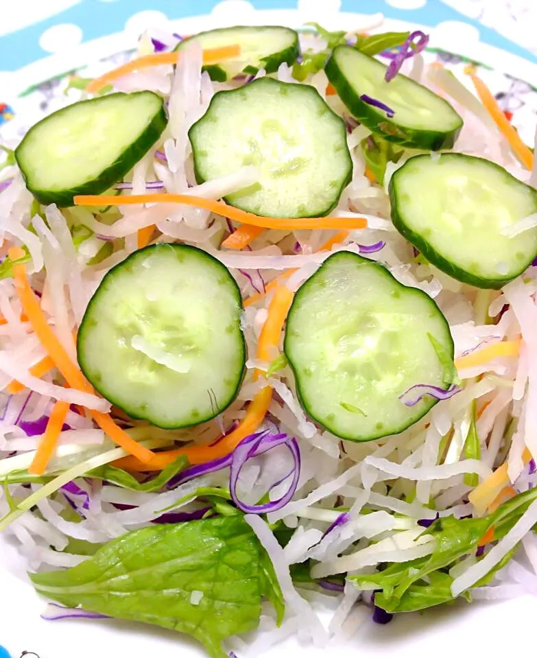 Snapdishの料理写真:Fresh cucumber & radish salad|Liezlさん