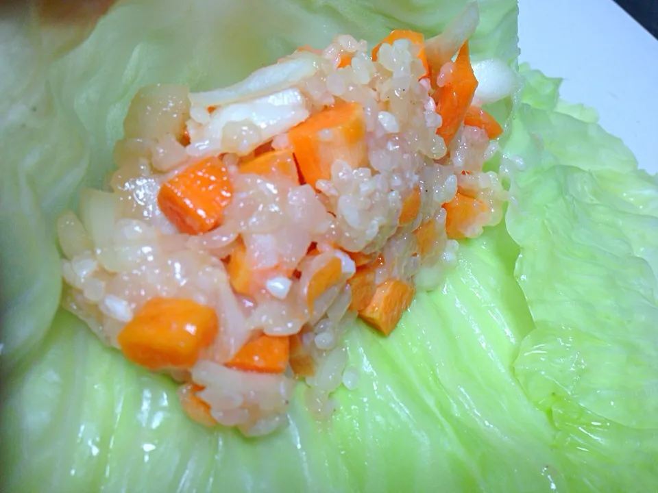 Stuffed cabbage roll|yeni kartikasariさん