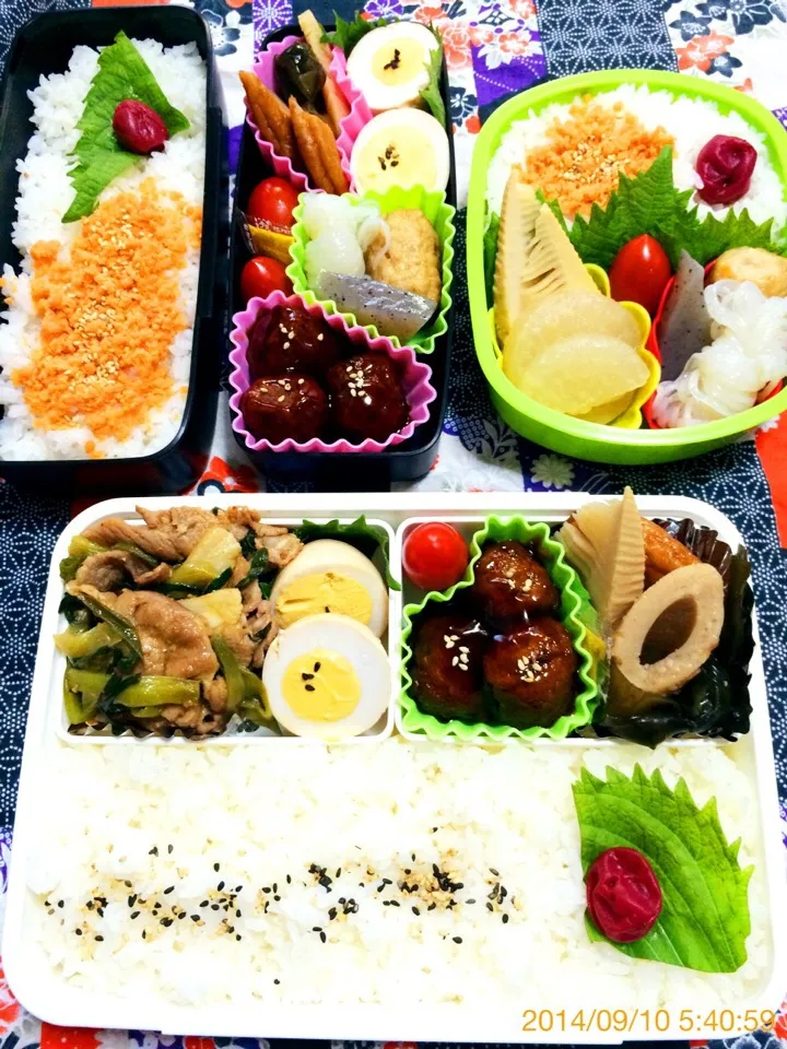 今日の３個弁当〜2014.9.10|こんぺいとうさん