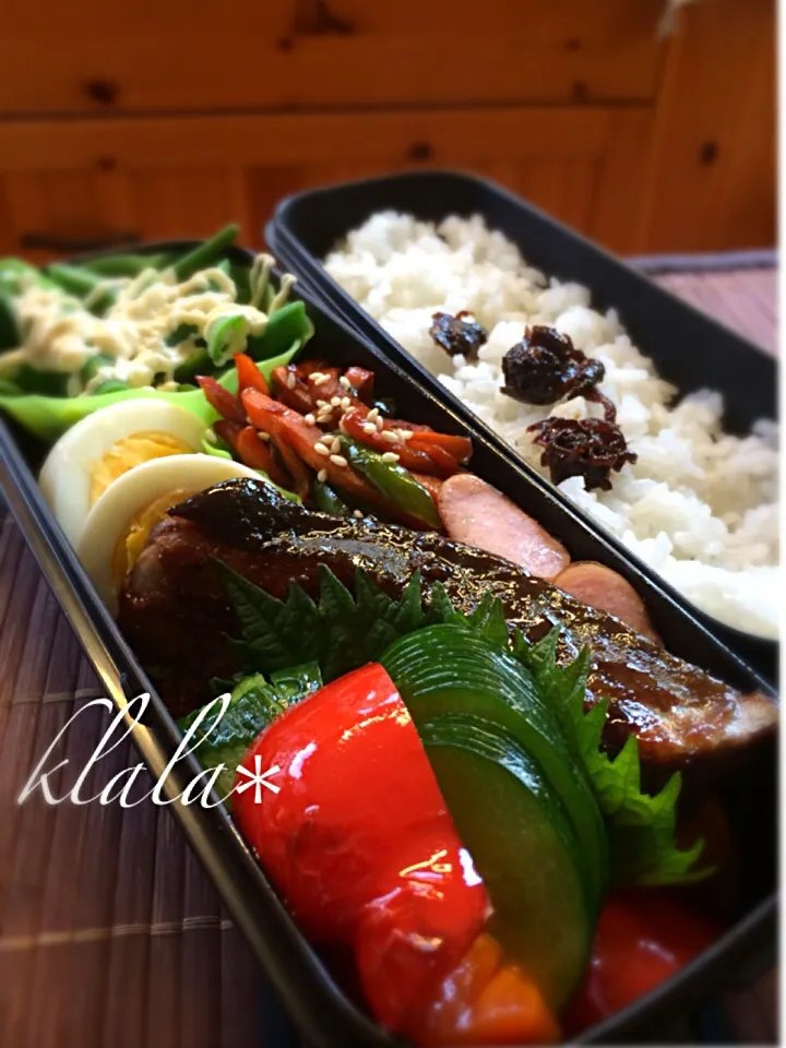 ふつーのお弁当⭐︎9/10|くららさん