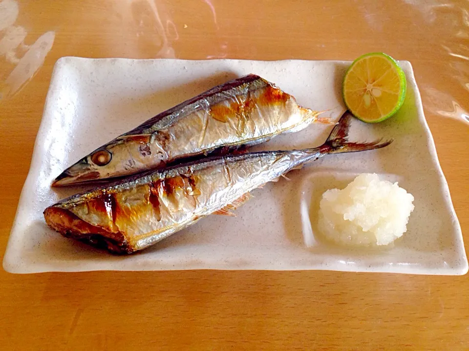 生秋刀魚、大特価108円❗️|かわちさん