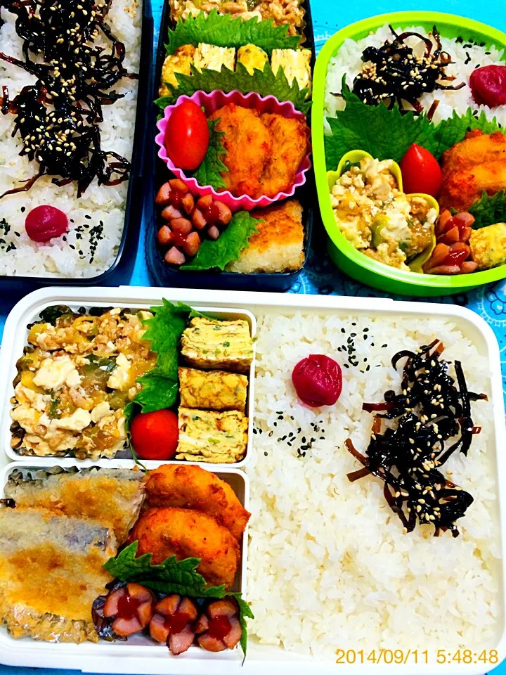 Snapdishの料理写真:今日の３個弁当〜2014.9.11|こんぺいとうさん