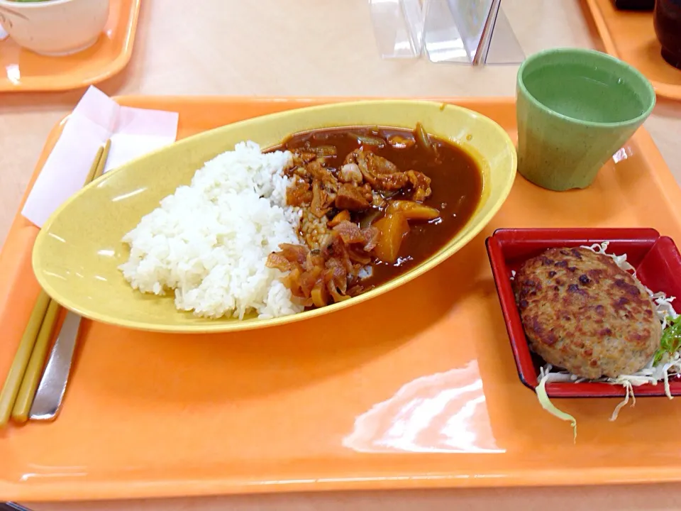 チキンカレーとハンバーグ(^O^)／|すかラインさん