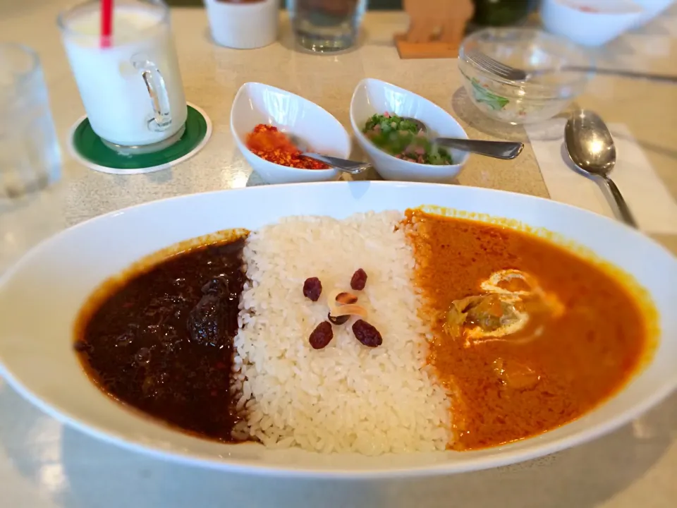 VOVOのカレー|ほくろさん