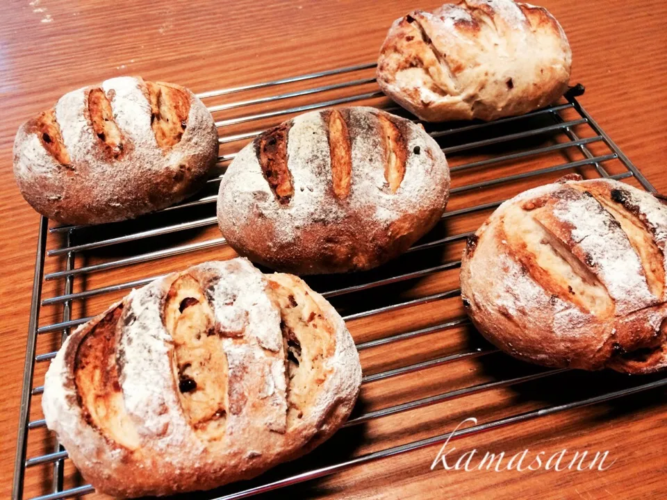 なおさんの料理 ドライフルーツとクリチの全粒粉パン…大失敗の巻〜˚‧º·(˚ ˃̣̣̥᷄⌓˂̣̣̥᷅ )‧º·˚|かまさん