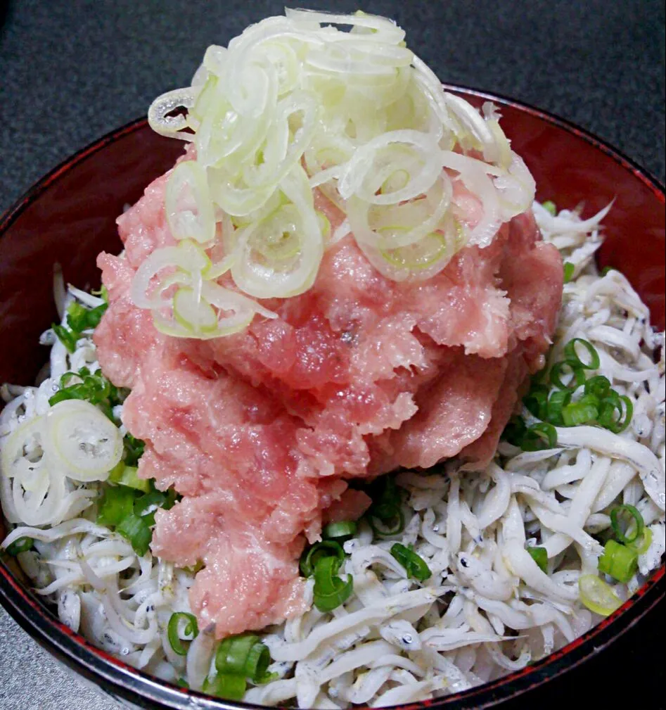 まさに日本のエアーズロックや～～～～(///ω///)♪(笑)  特盛！！ネギトロしらす丼♪|Yukiさん