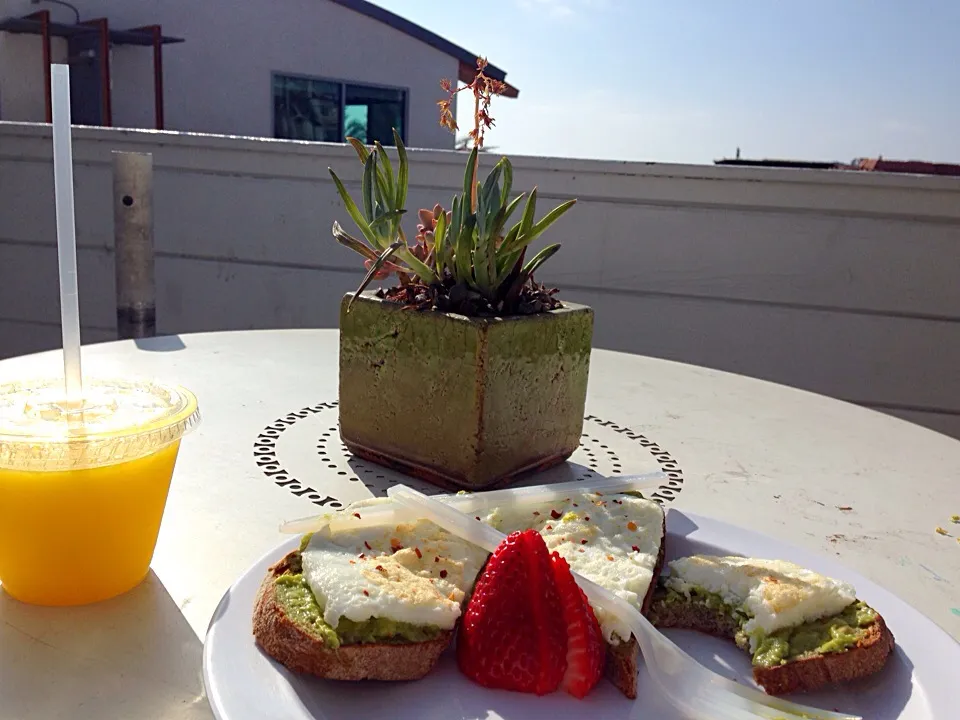 Avocado toast (gum tree)|Melissa Cowleyさん