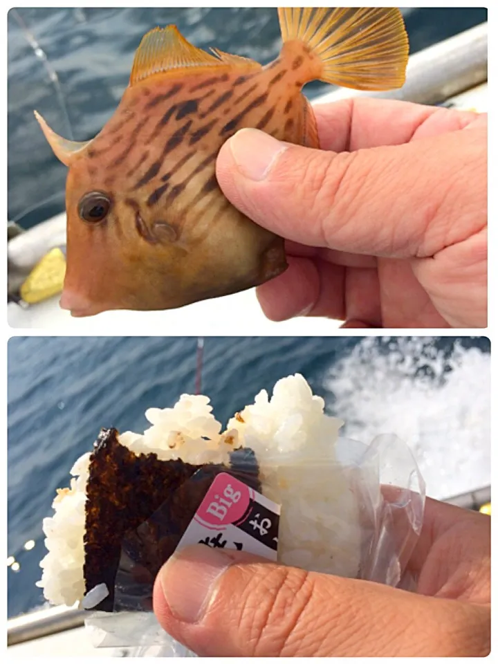 Snapdishの料理写真:タラコおにぎり|風流料理人さん