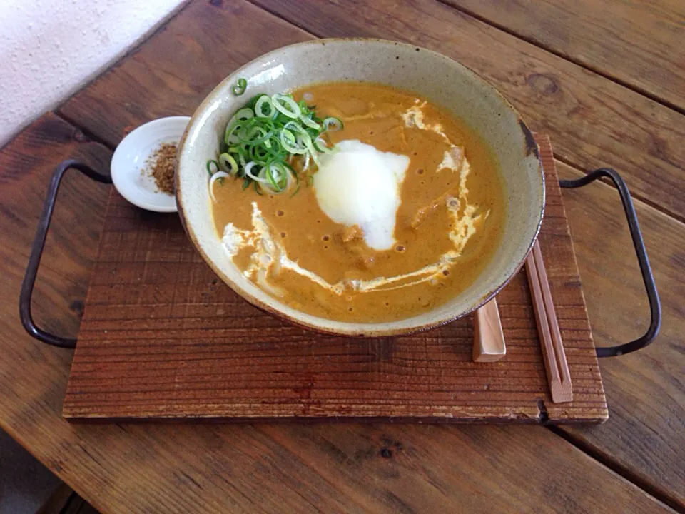 Snapdishの料理写真:スパイシーごまカレー温玉うどん|ハギーさん