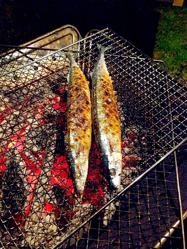 Snapdishの料理写真:野営秋刀魚焼き|Iori Nishioさん