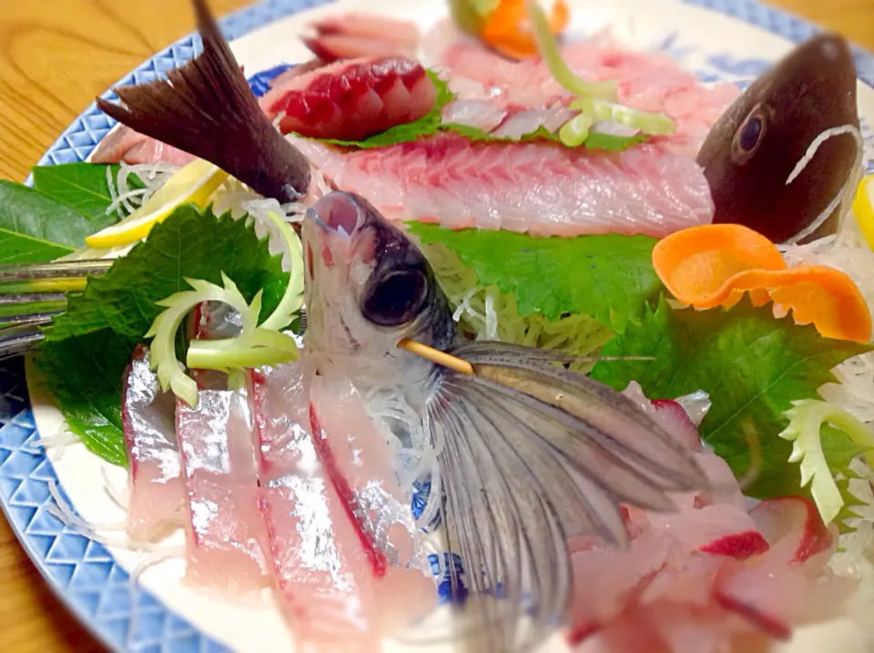 トビウオのお造りじゃ〜🐟😋|アライさんさん