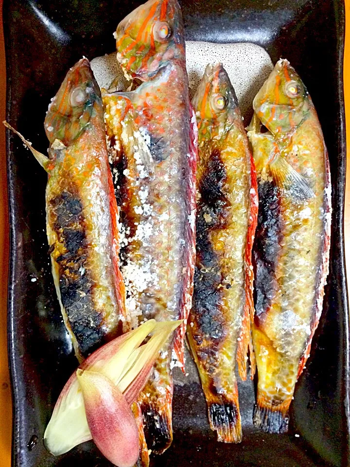 釣り人料理『キュウセン塩焼』|風流料理人さん