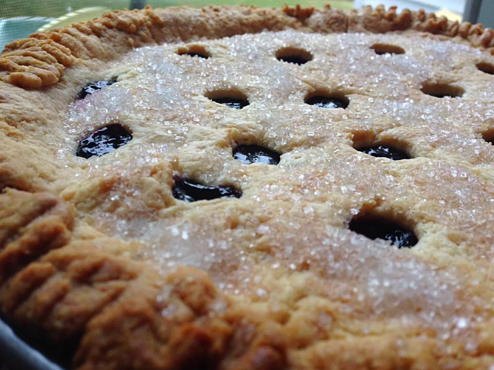 Blueberry pie|Dean M Rogersさん