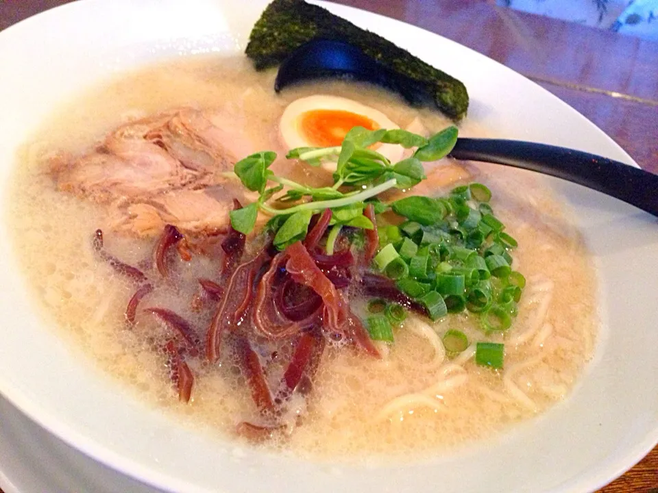 博多とんこつラーメン|柴崎なほみさん