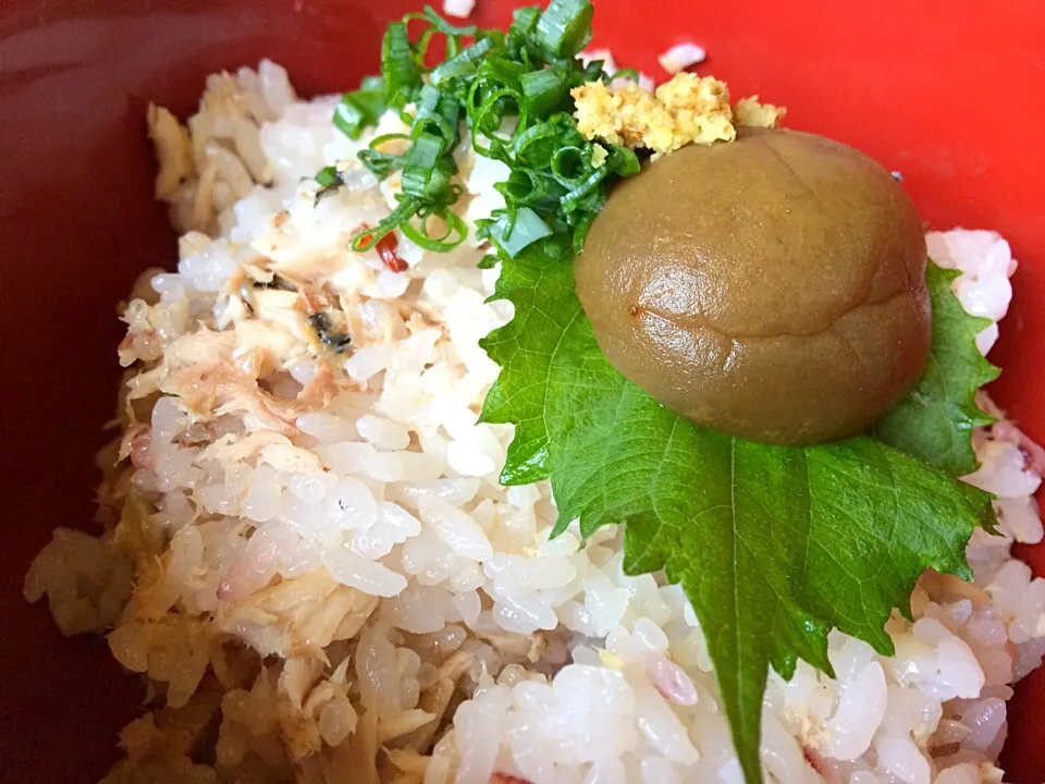 焼き秋刀魚ご飯 梅酢バージョン|佐野未起さん