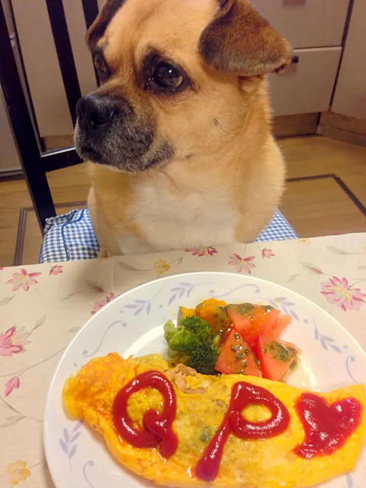 愛犬キューピー🐶💖オムレツ😋🍴|♥️さん