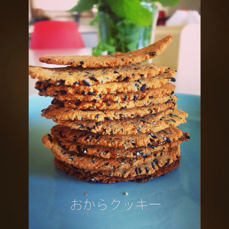 おからパウダーで薄焼きクッキー😁|ヲルカさん