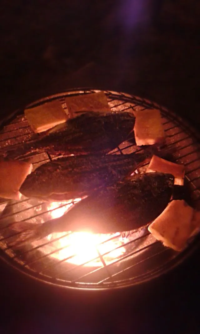 grilled Sea bass with roasted polenta|matteo moroniさん