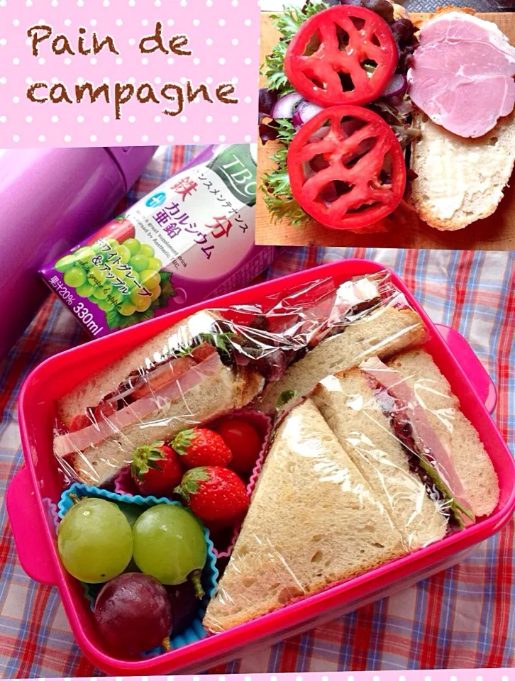 Snapdishの料理写真:Pain de campagneでサンドウィッチ弁当(⊹＾◡＾)ノo.♡ﾟ｡*|Blueberry🫐さん