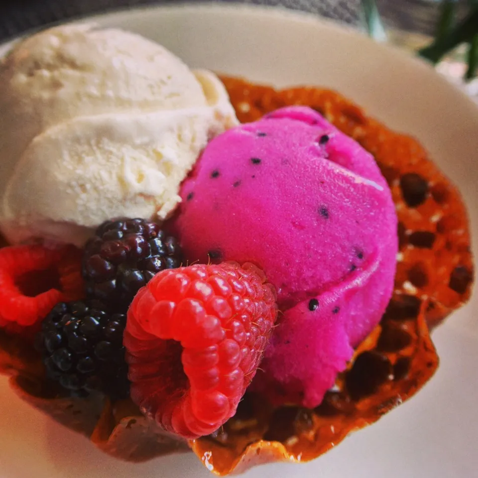 Macadamia Nuts Ice Cream and Dragon Fruit Sorbet 💜|tayukoさん