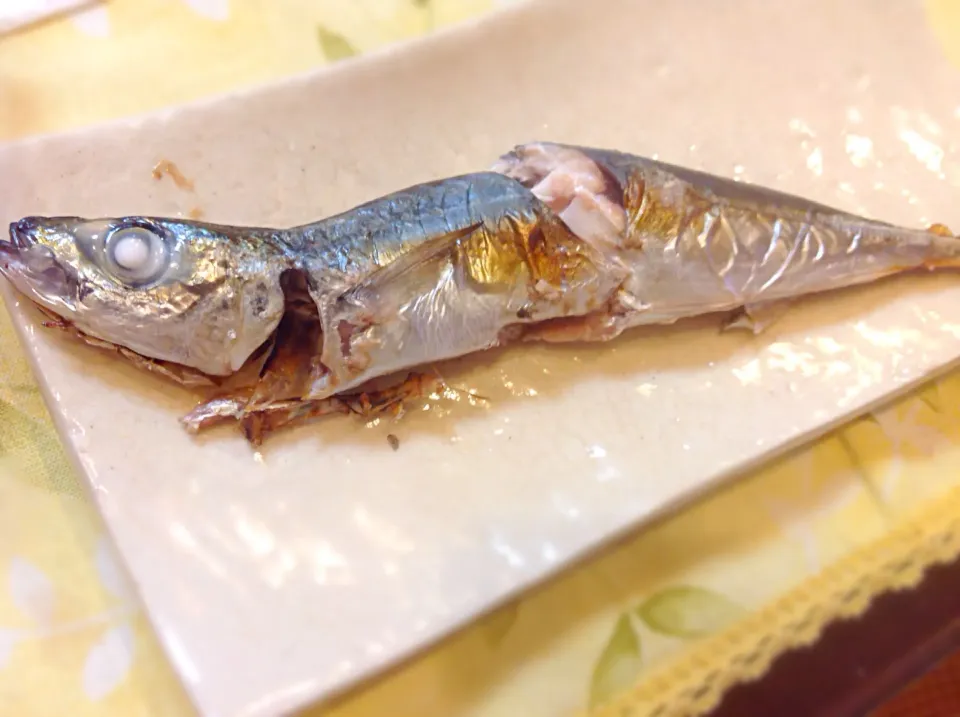 釣ったど〜(^^)「尾あかムロアジ🐟」の塩焼き😋|アライさんさん