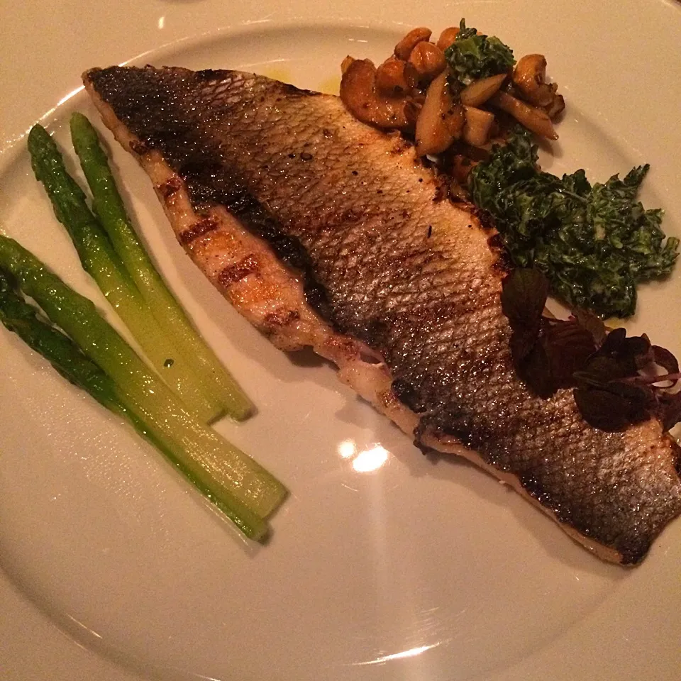 Sea bass from France|jirawanさん