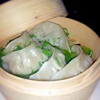 steamed gyoza|Brianna Campbellさん