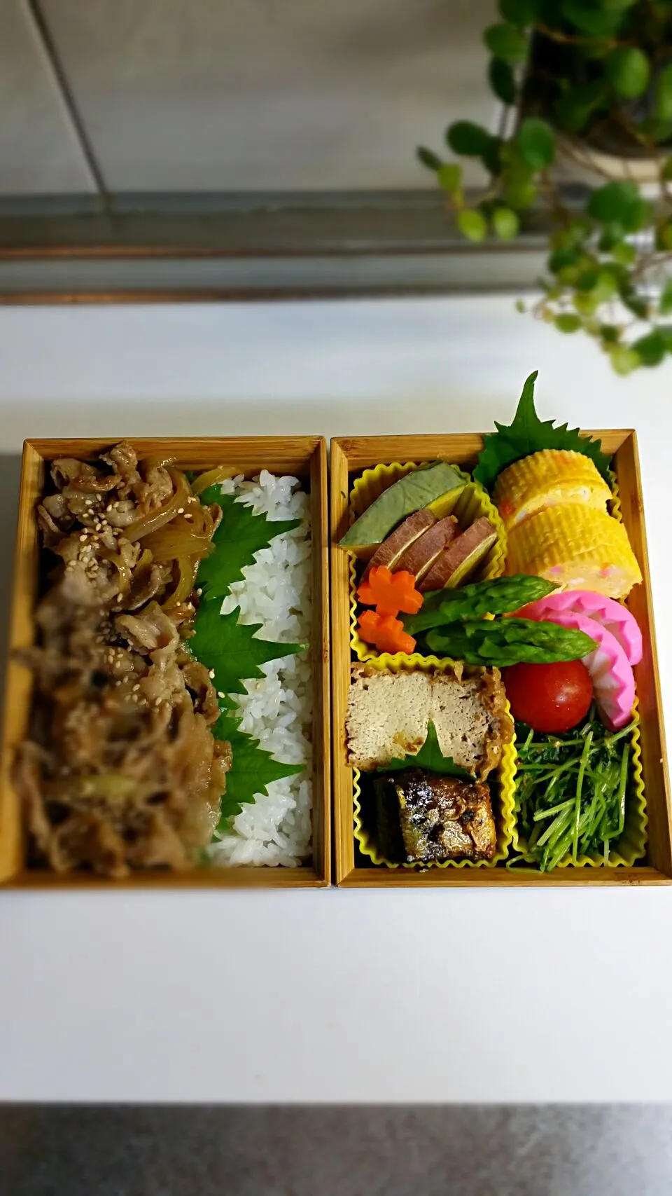 《水曜日のお弁当》🍱

・豚の生姜焼き弁当
・蒲鉾入りだし巻き玉子
・豆苗の胡麻ピーナッツ和え
・厚揚煮
・ニシンの甘露煮
・温野菜→カボチャ、さつま芋、人参、アスパラ

いってらっし～い♡|藤田 まり子さん