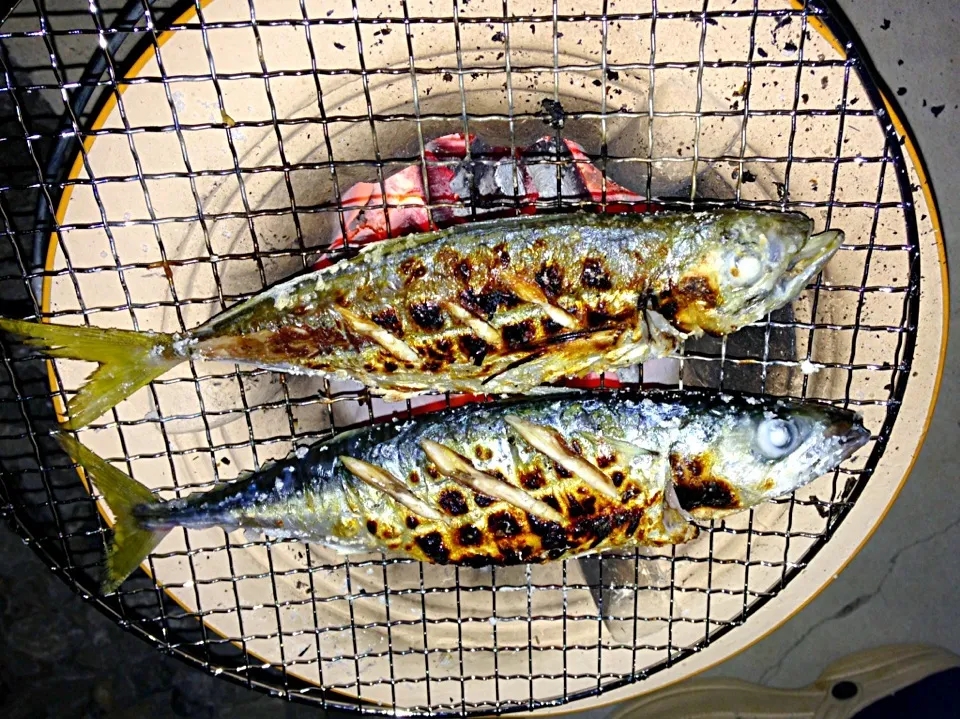 釣魚料理  炭火で焼き魚|シンリーさん