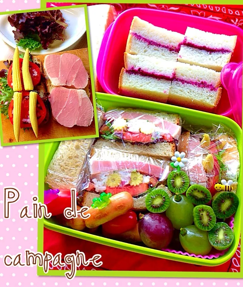 Snapdishの料理写真:Pain de campagneでサンドウィッチ弁当(⊹＾◡＾)ノo.♡ﾟ｡*|Blueberry🫐さん