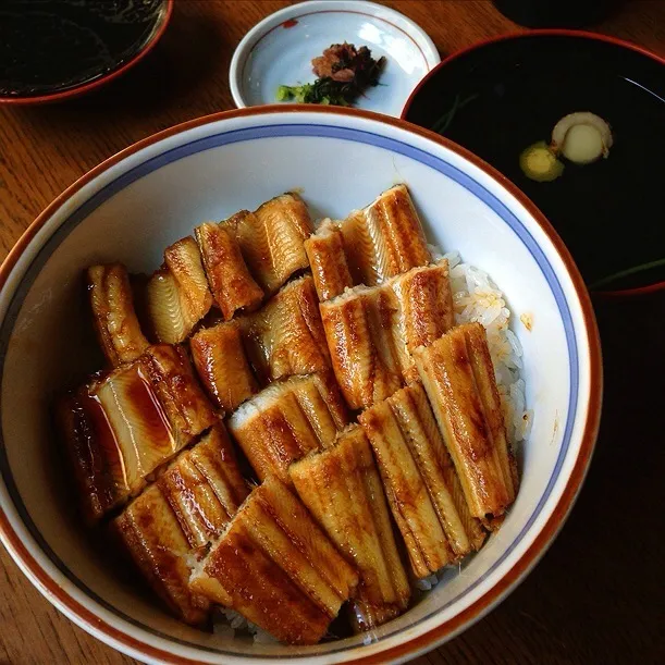 ふじたや のあなごめし、上品なタレ風味豊かな穴子に一粒一粒たっている釜炊きのご飯、まちがいない 。    広島にいます。|Yogiさん