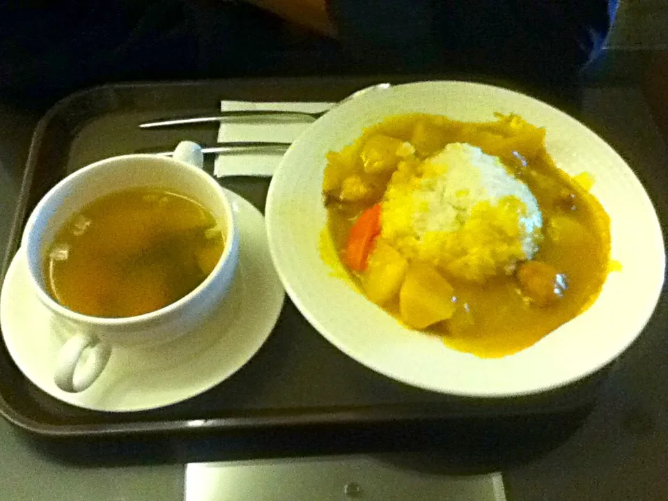 Curry rice and soup at Fo Guang Temple, Manila Philippines|Food Tripさん