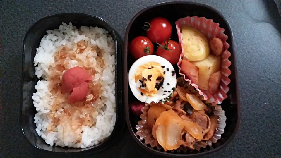 今日のお弁当|cocoaさん