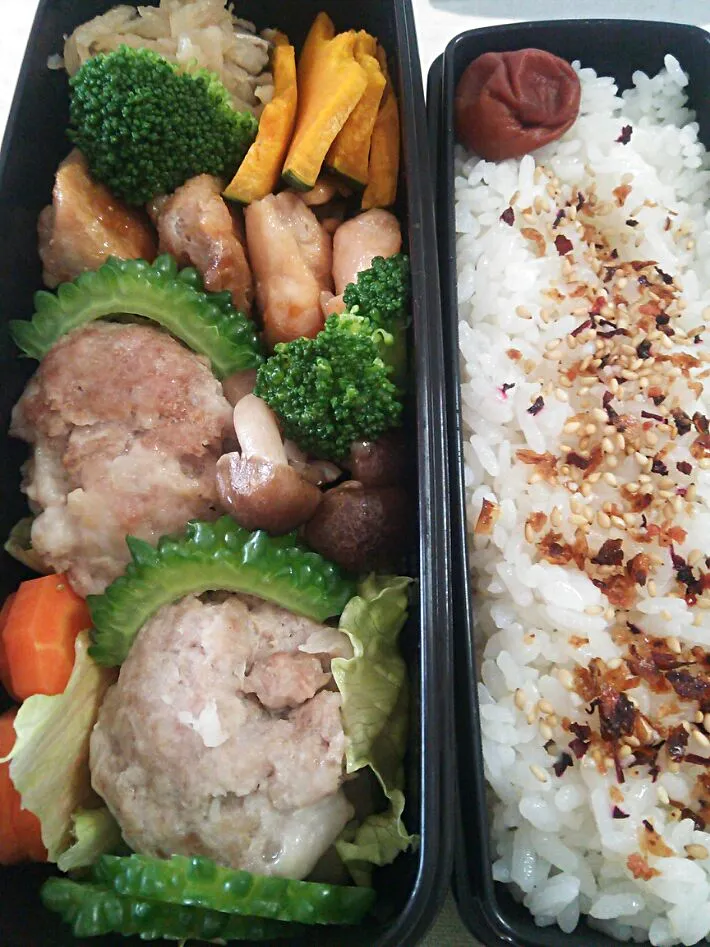 今日のお弁当|chiinaさん