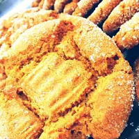 Spicy Ginger Snaps|teddi cahoeさん