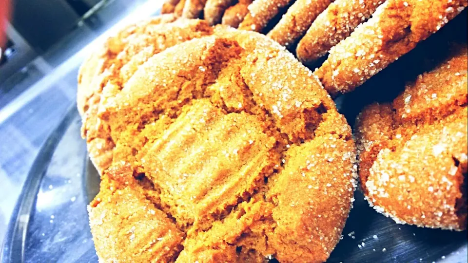 Spicy Ginger Snaps|teddi cahoeさん