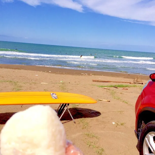 海で塩むすび〜なランチ🍙|かずみさん